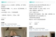 周公解梦闲鱼：LABUBU搜索量环比上涨1000%，供不应求下现租赁新形式